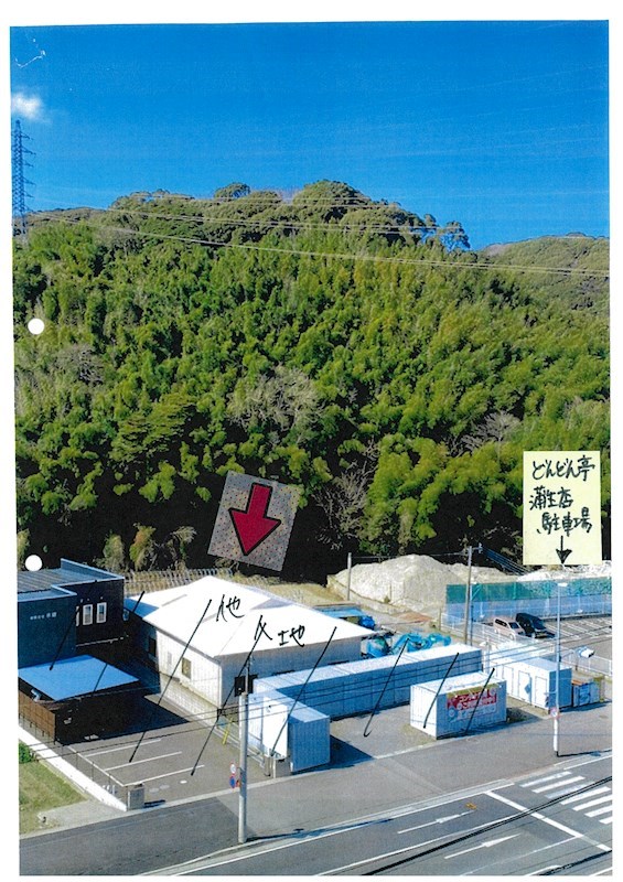 現地写真