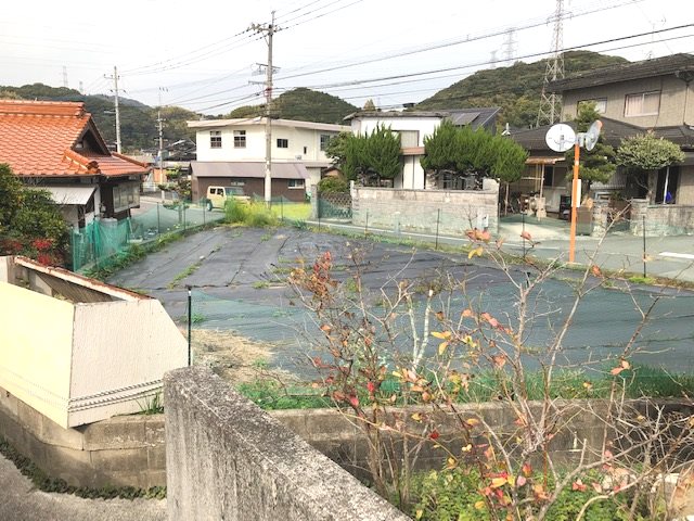 現地写真