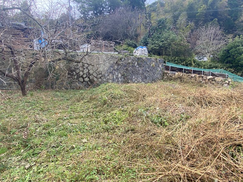 現地写真