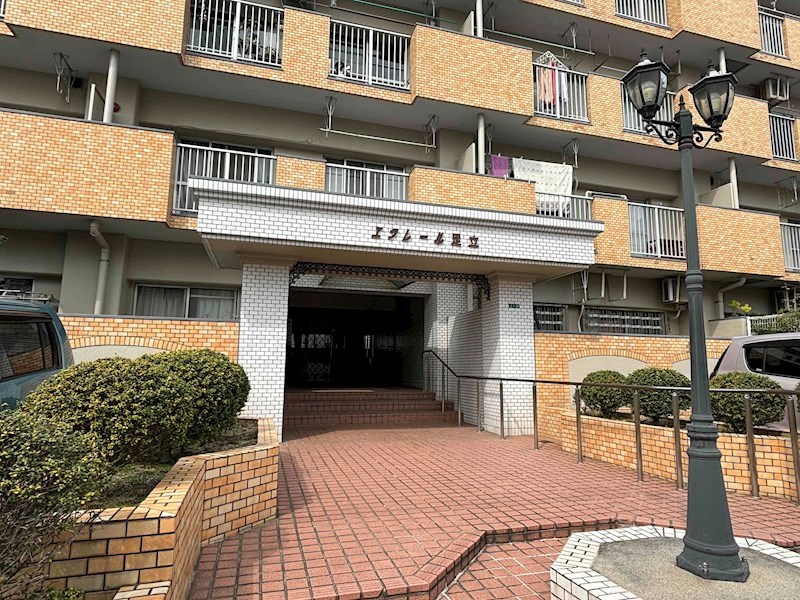 現地写真